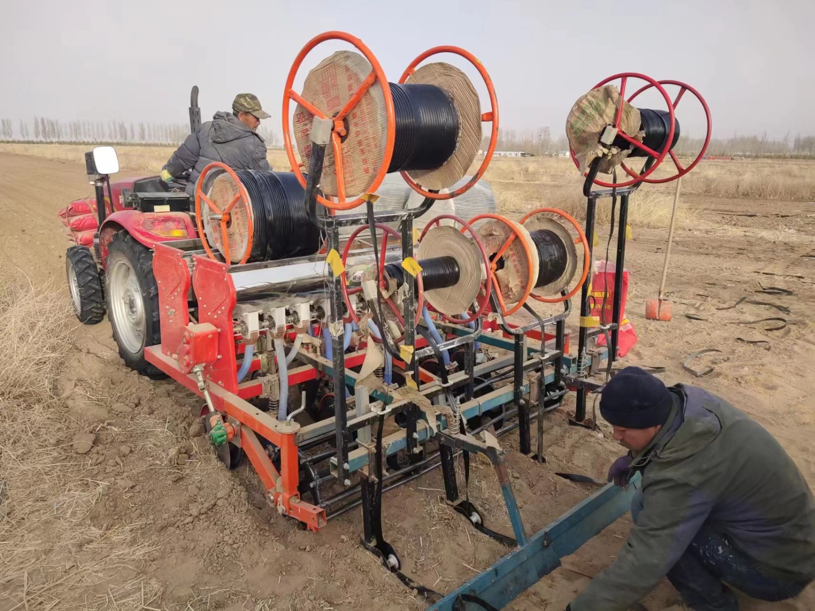 2023年(nián)小麥播種