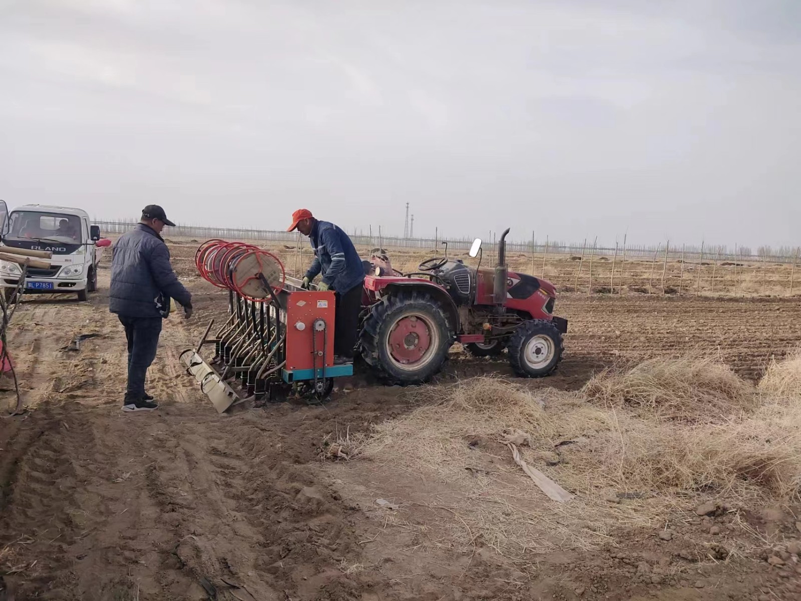 2023年(nián)小麥播種