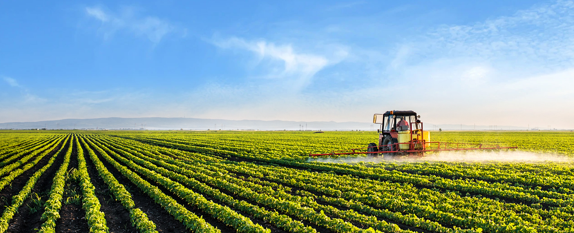 有(yǒu)機(jī)肥産品