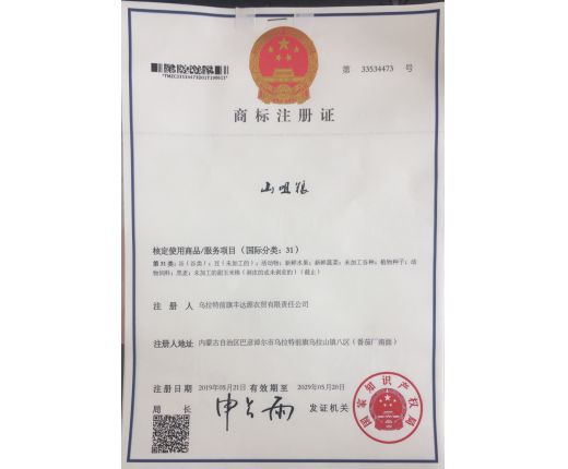 山咀糧商(shāng)标注冊證31類
