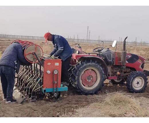 2023年(nián)小麥播種