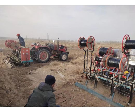 2023年(nián)小麥播種