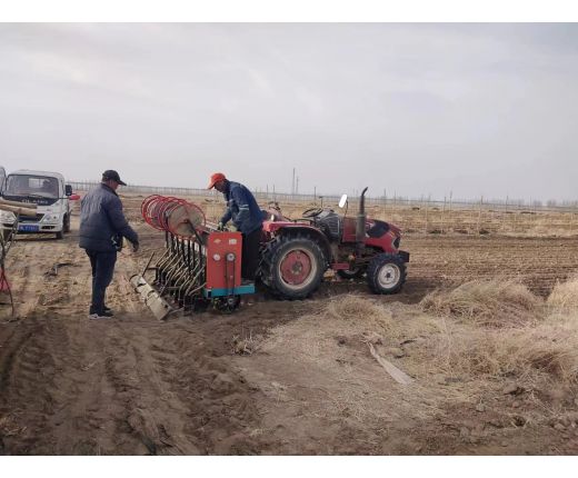 2023年(nián)小麥播種
