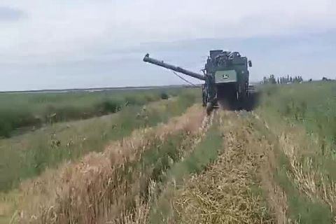 2022年(nián)豐達源小麥基地(dì)收割中