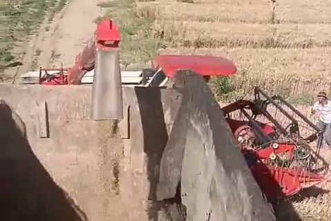 2022年(nián)豐達源小麥基地(dì)收割中