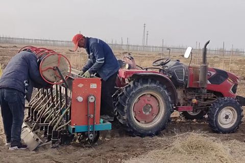 2023年(nián)小麥播種