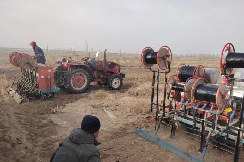 2023年(nián)小麥播種