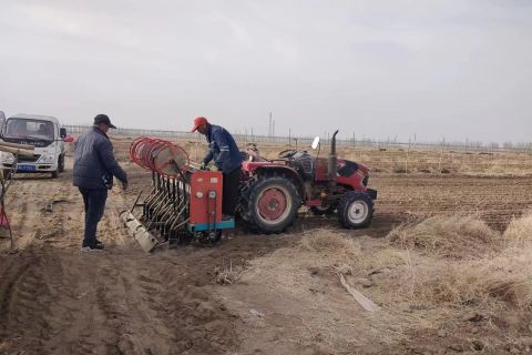 2023年(nián)小麥播種