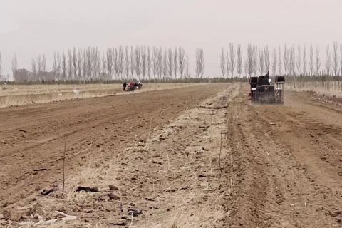 2023年(nián)小麥播種